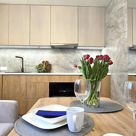 Apartment Vip Koscielna