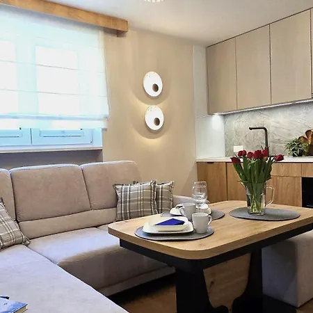 Apartment Vip Koscielna